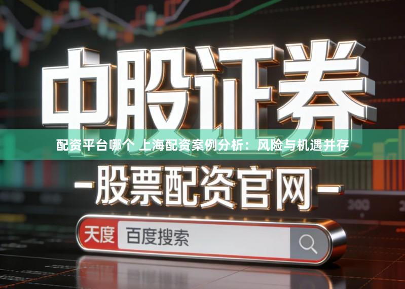 配资平台哪个 上海配资案例分析:风险与机遇并存