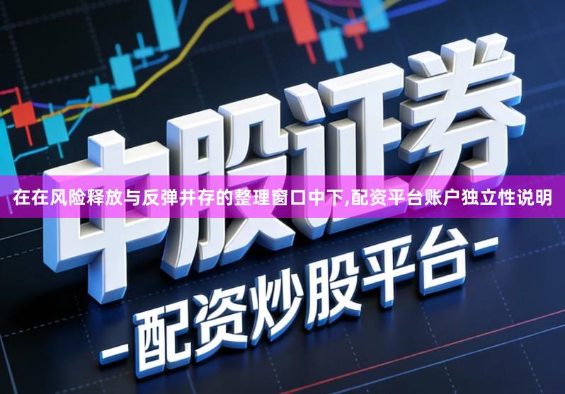 在在风险释放与反弹并存的整理窗口中下,配资平台账户独立性说明