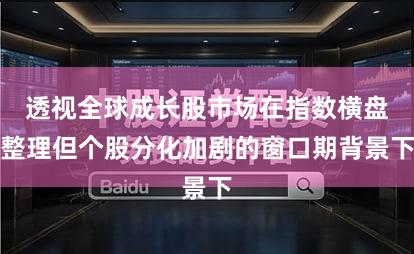 透视全球成长股市场在指数横盘整理但个股分化加剧的窗口期背景下