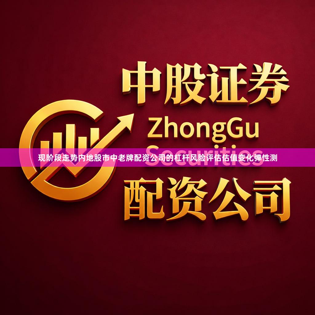 现阶段走势内地股市中老牌配资公司的杠杆风险评估估值变化弹性测
